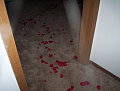 i reck'n theres a fee-ance-ay waiting at the end of that there petal trail